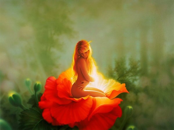 Весна нежность любовь