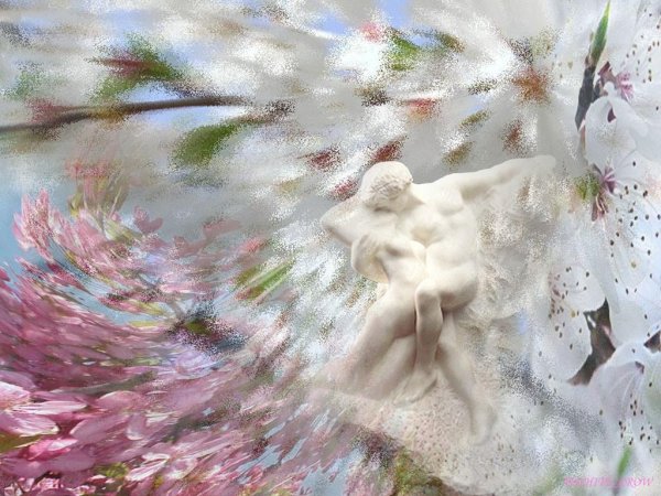 Красота и нежность