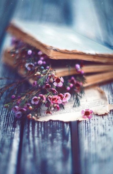 Книжка и Вдохновение