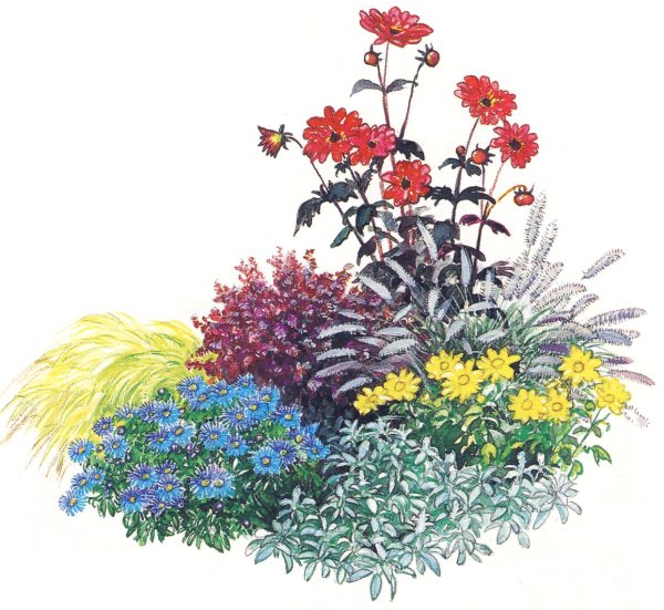 Цветники, миксбордеры, георгины