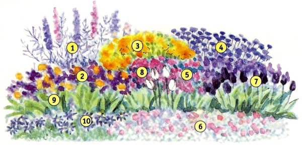 Весенний цветник схема