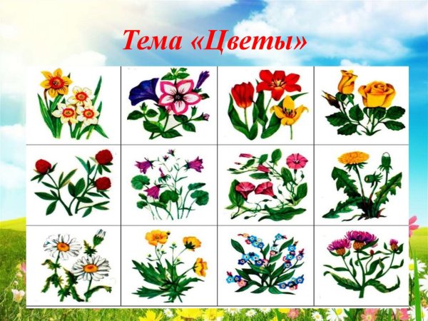 Цветы для презентации