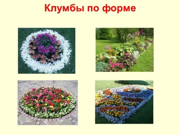 Проекты цветочных клумб