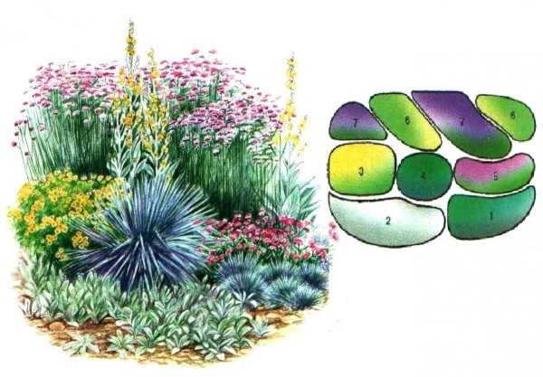 Миксбордер из злаковых многолетних трав