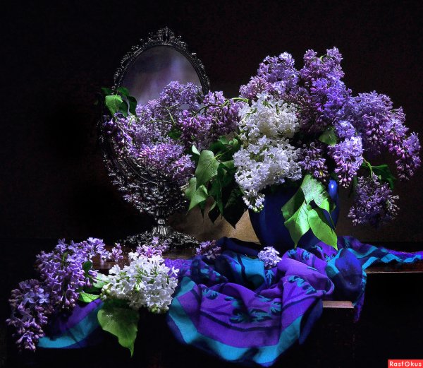 Сирень лунный свет