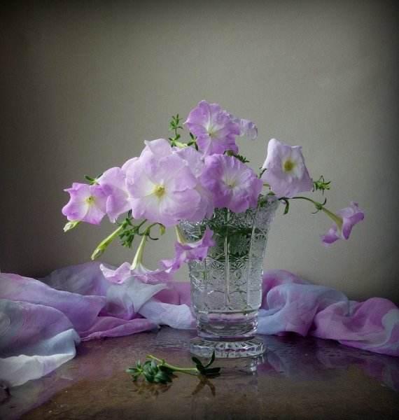 Фотонатюрморты с цветами