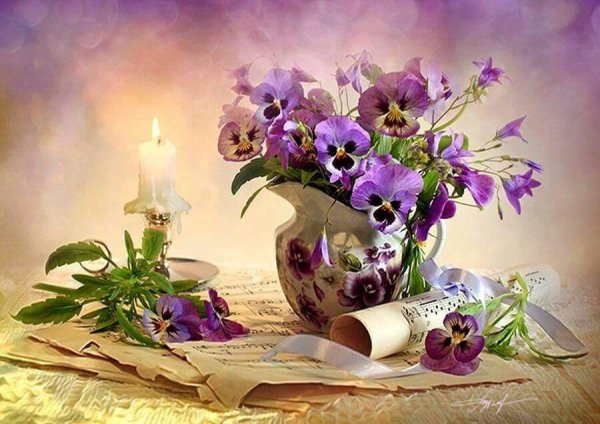 Луиза Гельтс Фотонатюрморты