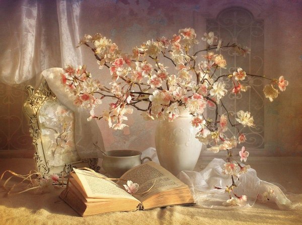 Луиза Гельтс Фотонатюрморты