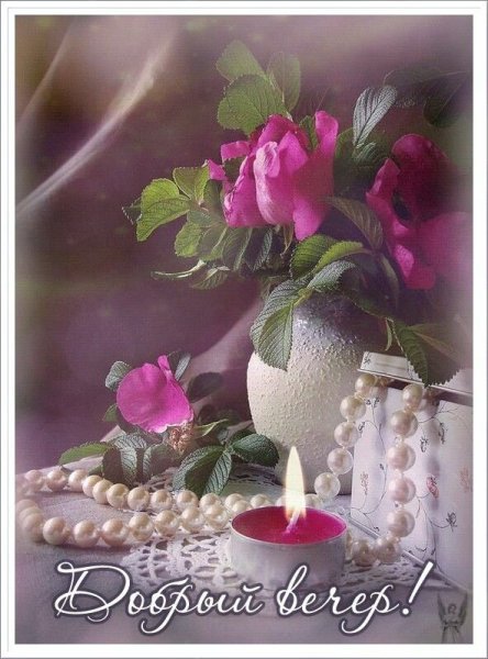 Чудесного вечера Весна