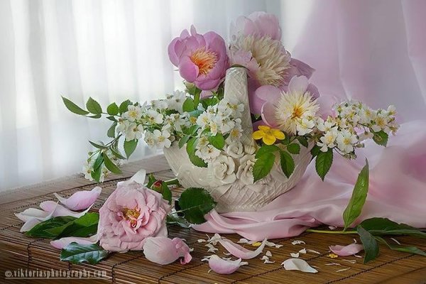 Чудесно и цветы