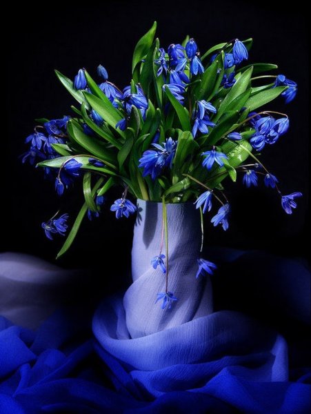 Доброго веченнего Вечерка