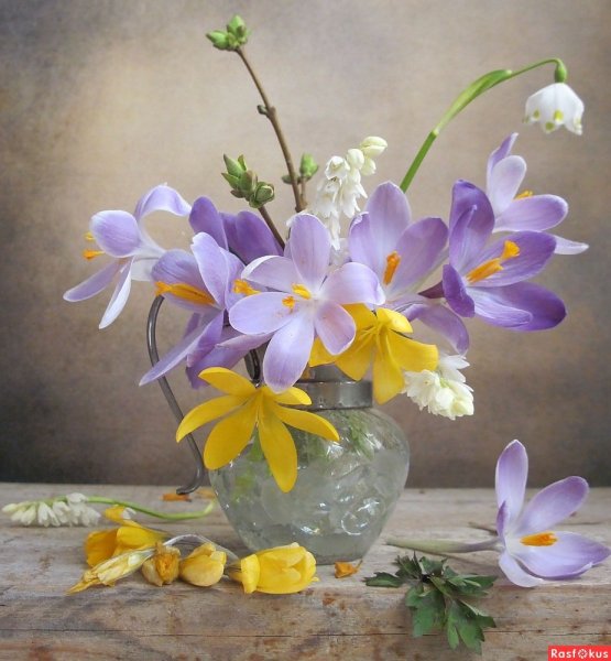 Добрым людям доброй ночи