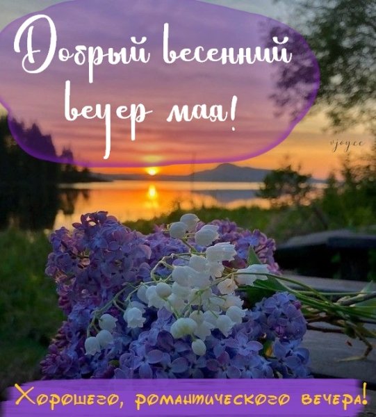 Доброй ночи цветы