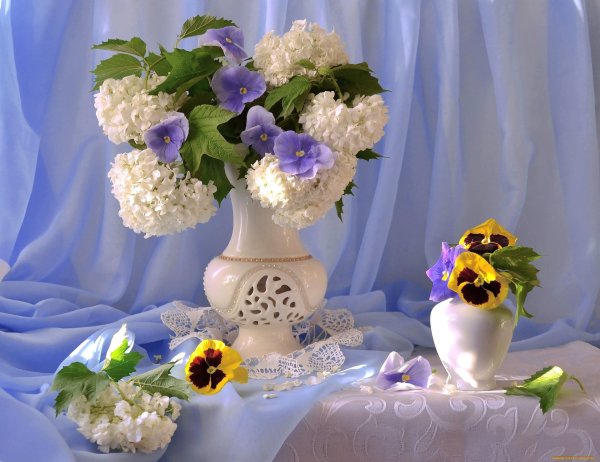 Доброй весенней ночи