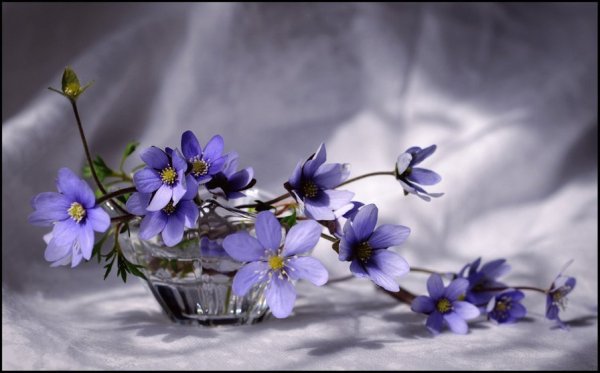 Хорошего аесеннеговечера