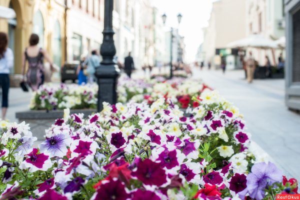 Фестиваль цветов в ГУМЕ