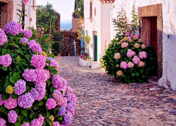 Район Плака в Афинах