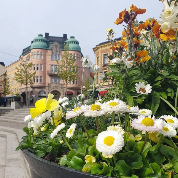 Испанский дворик Сочи