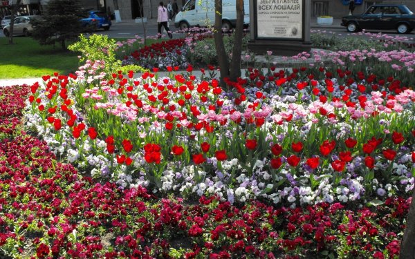 Цветы на улицах Франции