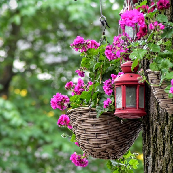 Цветочные сады в Москве