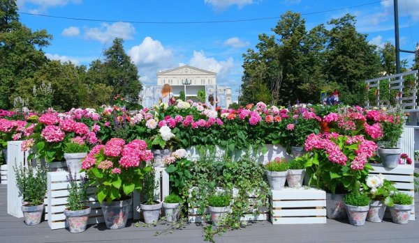 Парк Гагарина Самара клумбы