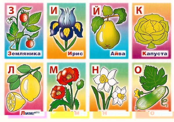 Азбука растений для детей