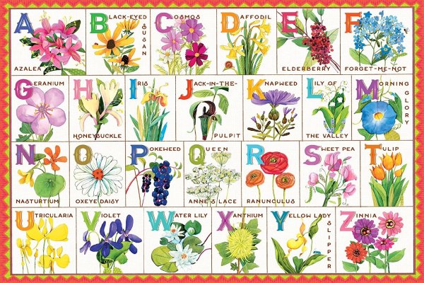 Азбука с названиями цветов
