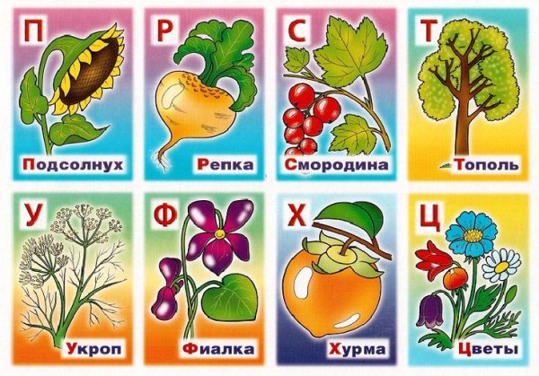 Азбука растений и цветов для детей