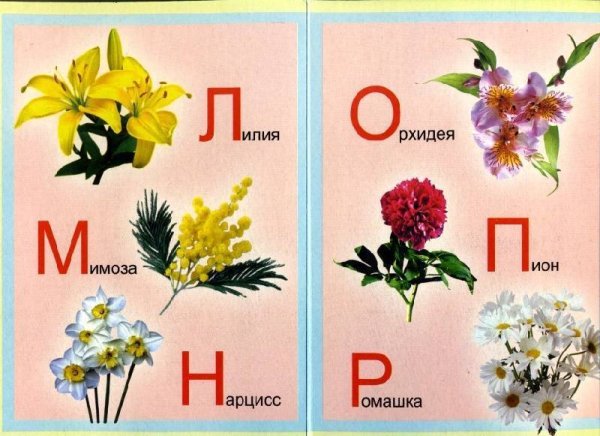 Азбука растений и цветов