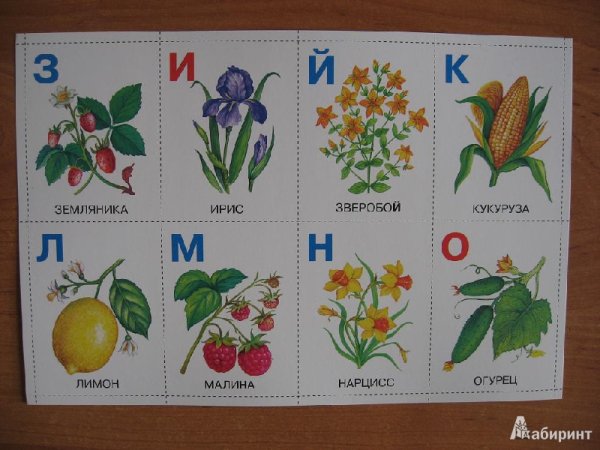 Растения на букву а