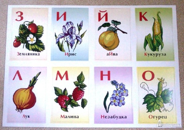 Азбука из названия цветов
