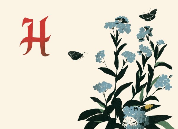 Растения на букву а