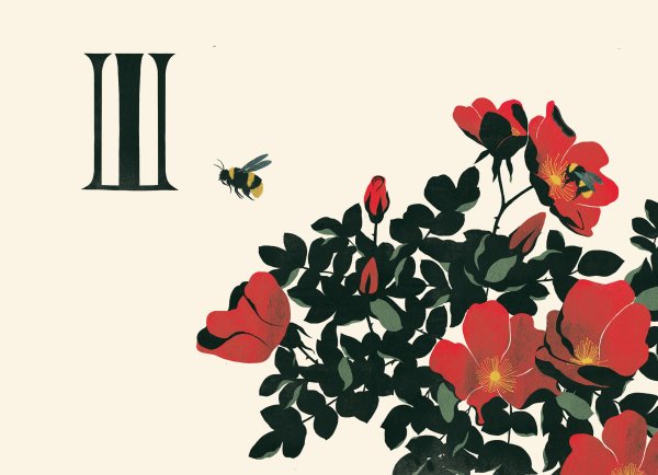 Цветочная Азбука