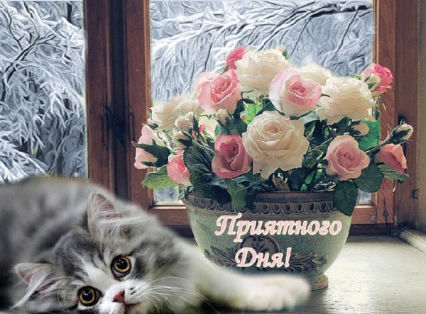 С добрым зимним днем цветы