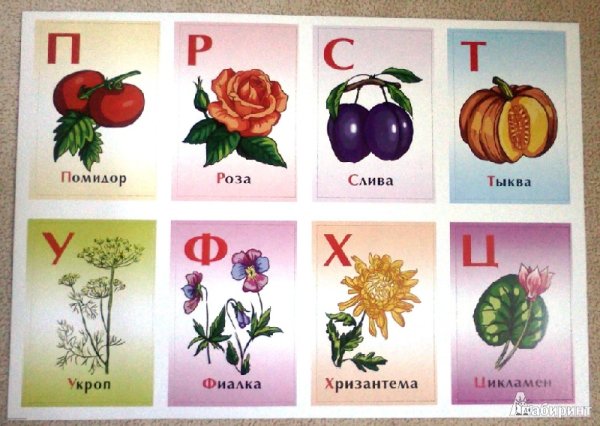 Азбука растений и цветов для детей