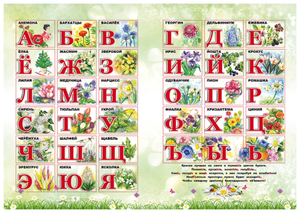 Живая Азбука цветов