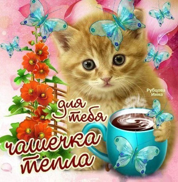 Чудесного дня котики