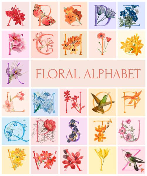 Азбука растений для детей