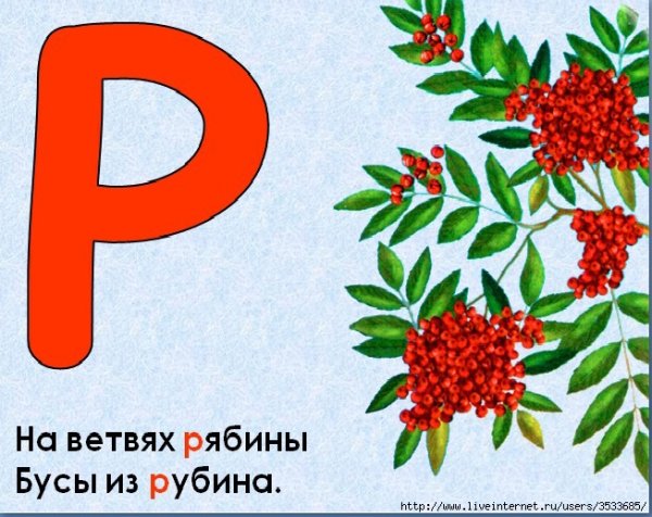 Нарисованные цветы с названиями