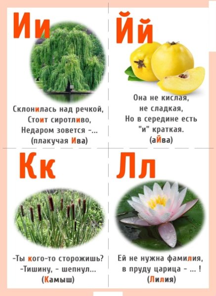 Стих про букву ж