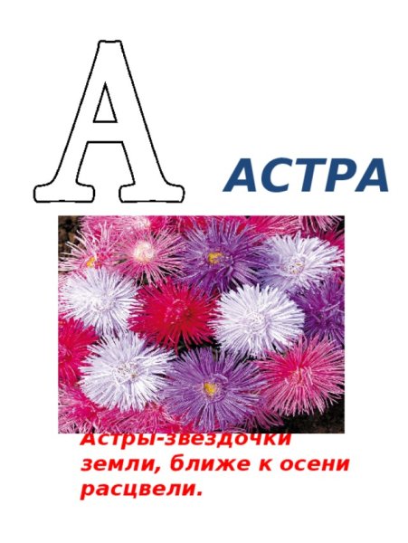 Алфавит цветов