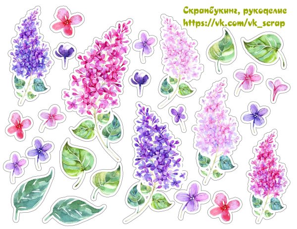 Акварельные цветы для вырезания