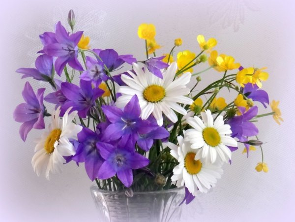 С днём рождения букетик полевых цветов