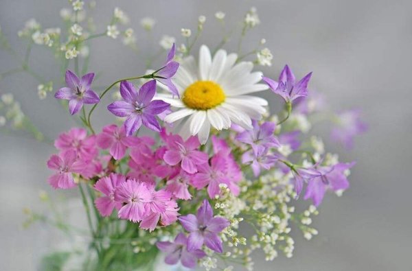 Нежный букетик полевых цветов