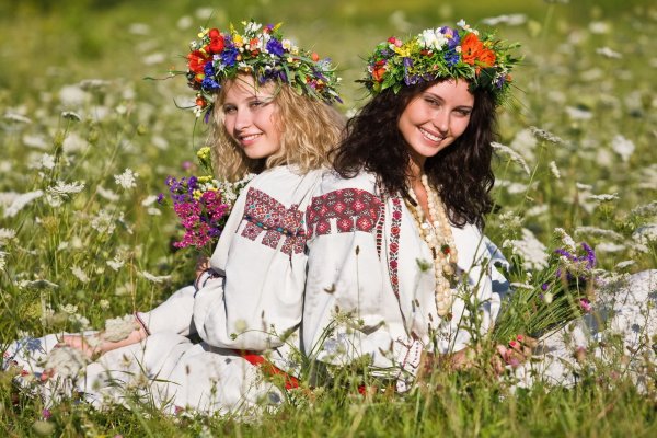 Прострел Луговой