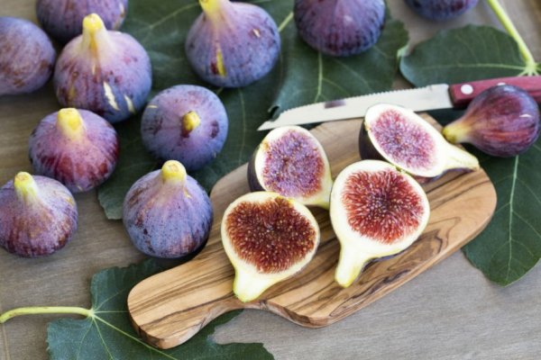 Листья инжира