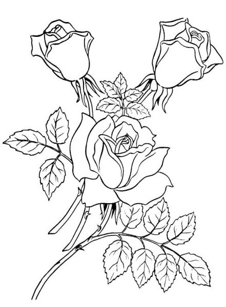 Цветы. Раскраска