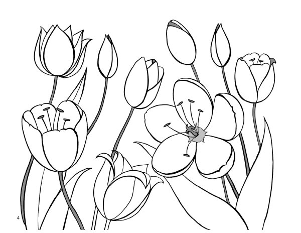 Цветы. Раскраска