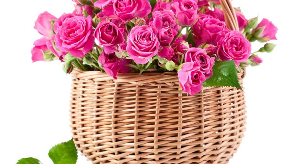 Открытка цветы