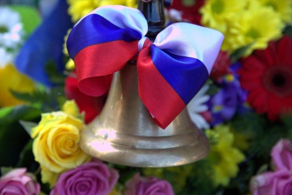 Школьный натюрморт